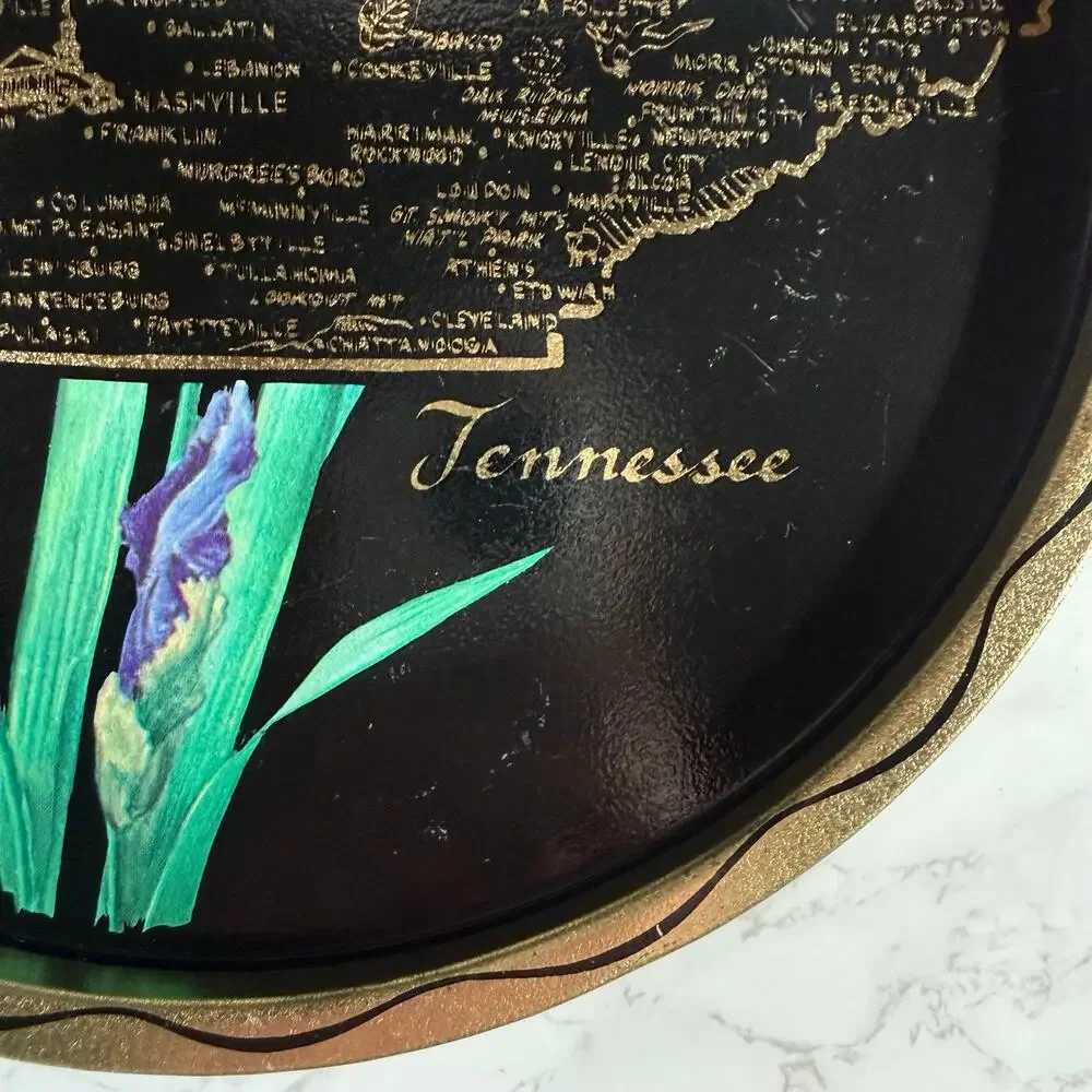 Vintage 1960s Tennessee Souvenir Metal Tray Map Iris Retro
